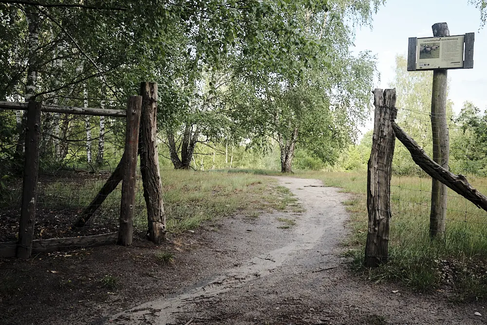 Wie komme ich zur Sandgrube im Grunewald