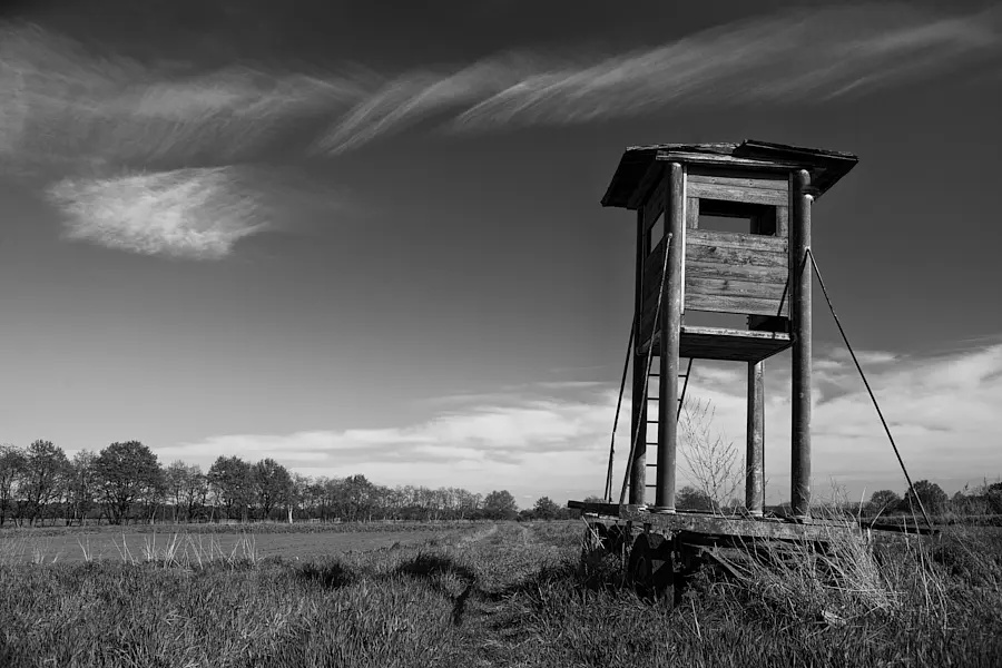 Hochsitz auf dem Rieselfeld in Kladow