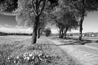 Die Rieselfelder in Kladow: Natur und Naherholung im Berliner Westen