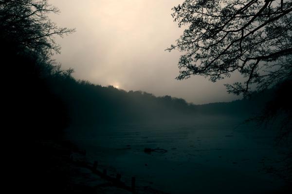 Misty winter landscape of Schlachtensee lake surrounded by bare trees and forested shoreline in fog