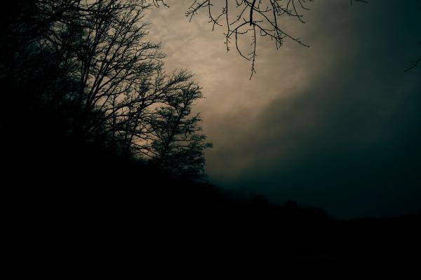 Foggy Schlachtensee