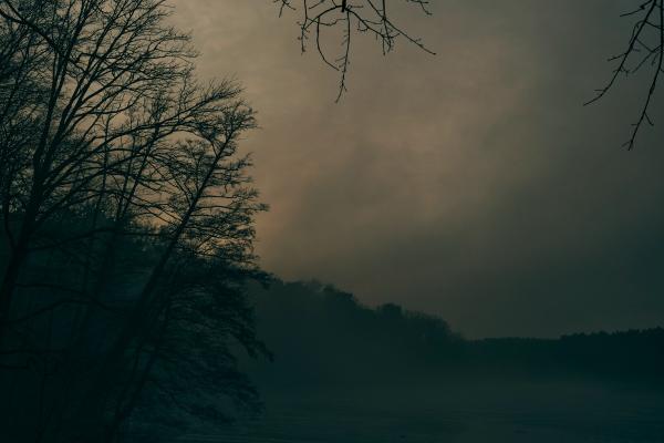 Bare winter trees on a hillside overlooking a foggy lake landscape at Schlachtensee during misty winter conditions.